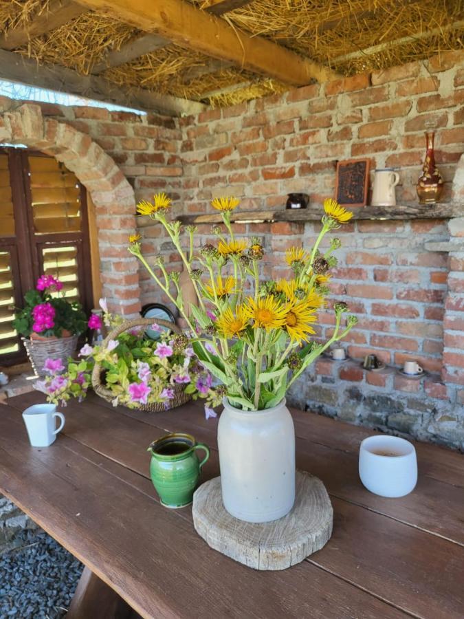 Casa Maria Leilighet Cincu Eksteriør bilde